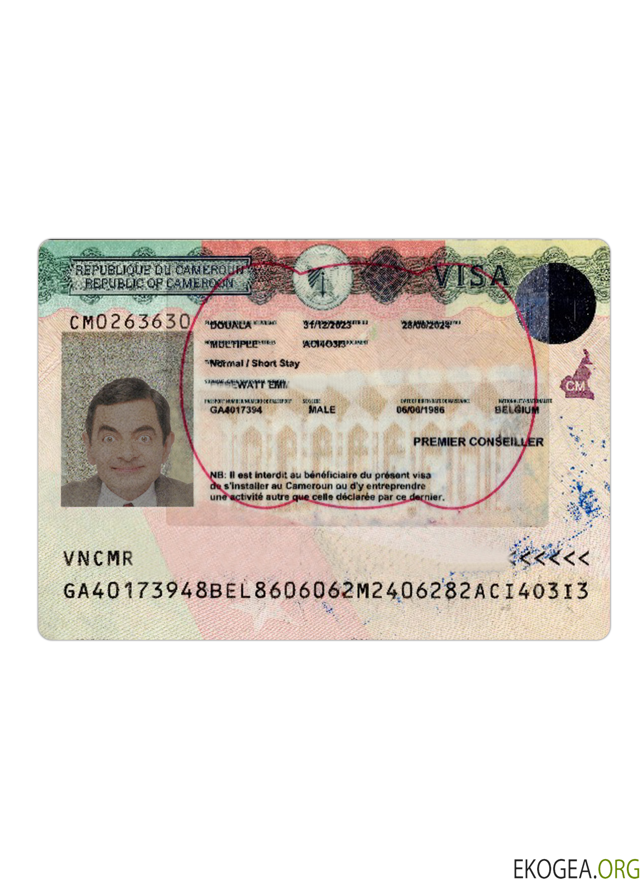 Visa de voyage pour le Cameroun version 2